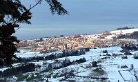  25. Dezember 2011 - ein Blick hinüber auf das von der Sonne beleuchtete Wald